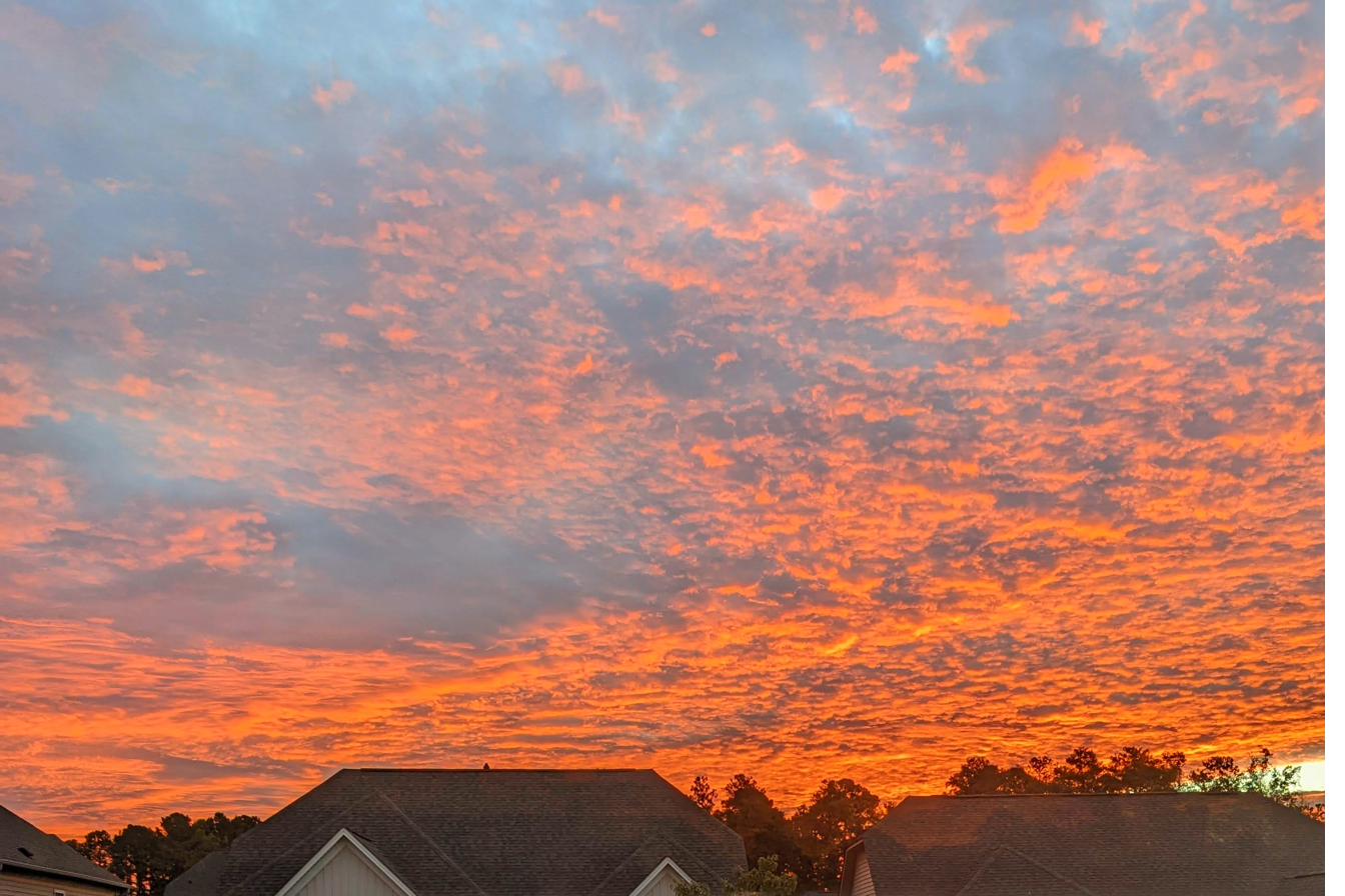 Northeast-facing exterior at dawn
